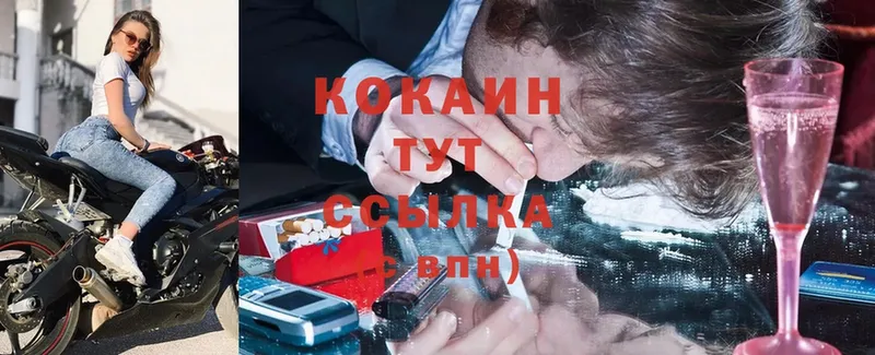 Кокаин Боливия Бородино