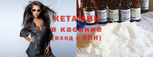 прущие грибы Богородицк