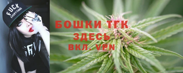 PSILOCYBIN Белоозёрский