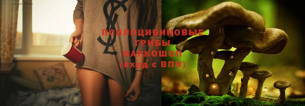 MDMA Богданович