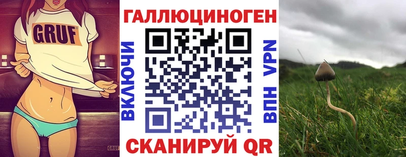Галлюциногенные грибы Psilocybine cubensis  Бородино 